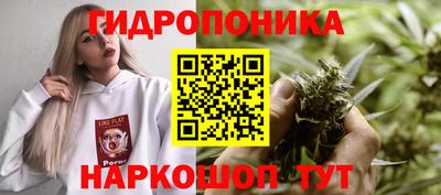 СК Славянск-на-Кубани