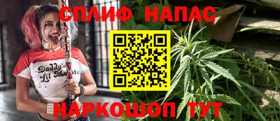 МДПВ Сланцы