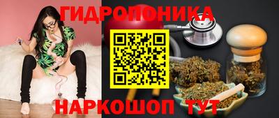 МДПВ Сланцы