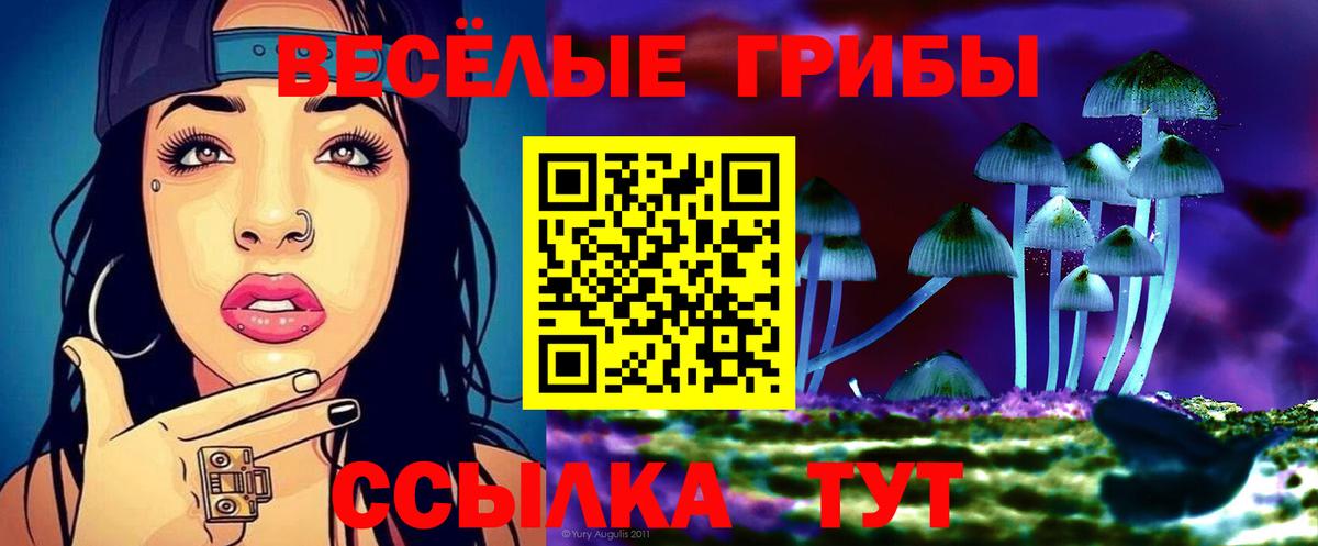 Галлюциногенные грибы GOLDEN TEACHER Нерюнгри