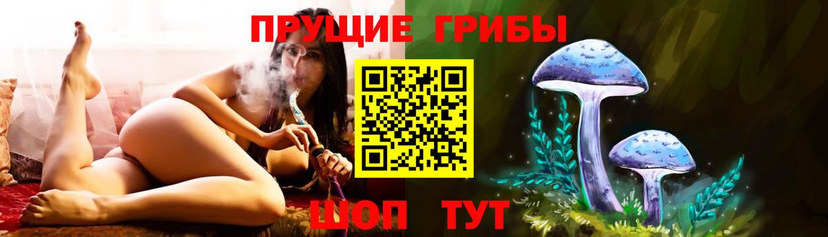 Нерюнгри  Псилоцибиновые грибы прущие грибы  Вход с VPN  Галлюциногенные грибы GOLDEN TEACHER 